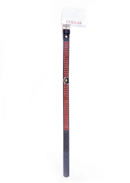 Fetish B - Series Collar with crystals 2 cm Red Line Foto 4