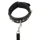 Vegan Faux Leather Collar with Removable Leash – Black — Photo 6