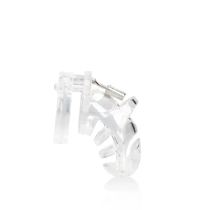 Model 25 - Karskusvöö puur – 9 cm (3.5″) – läbipaistev Photo