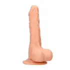 Realistlik dildo munandite ja iminapaga – 20 cm (8″) — Foto 9