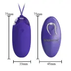 PRETTY LOVE Berger Egg Vibrator – Remote Control Photo