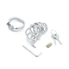 Cruve Torture Chastity Device — Photo 11