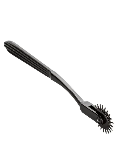 Boundless Pleasure Wheel Foto 2