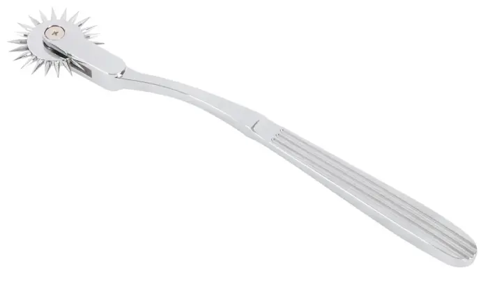 Single Pinwheel Silver Photo