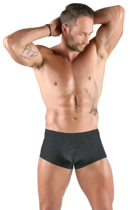 Svenjoyment Pants – silver – M Photo