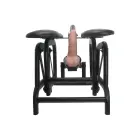 Ride And Slide seksimasin — Foto 3