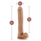 Blush Au Naturel Daddy Dual Density Dildo with Suction Base – 35.6 cm, Mocha — Photo 4