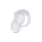 HIDDEN DESIRE EXTREME Chastity Cage – 7.6 cm – Clear — Photo 3