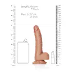 Išlenktas realistiškas dildo su sėklidėmis ir siurbtuku – 18 cm (7″) Photo