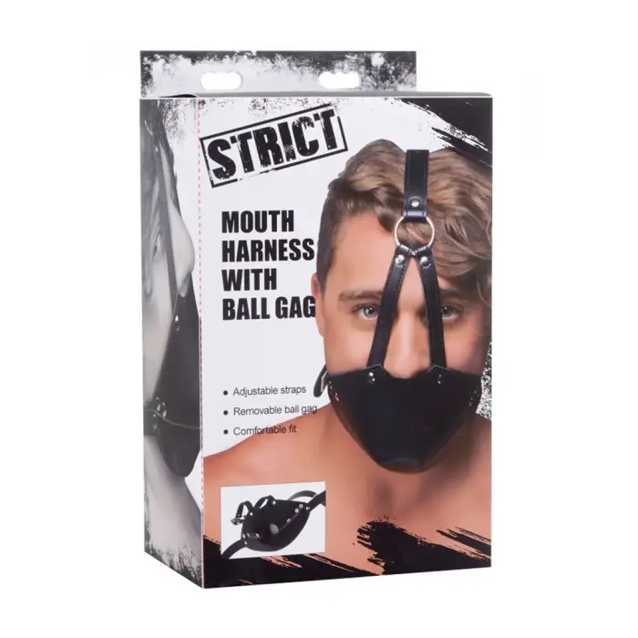 Mouth Harness with Ball Gag