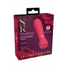 Secret Kisses Rosegasm Floral Boost Bullet – rechargeable vibrator with 20 modes – pink – 10.8 cm — Photo 1