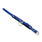 Black & Blue Leather Collar with Big O-Ring — Photo 2