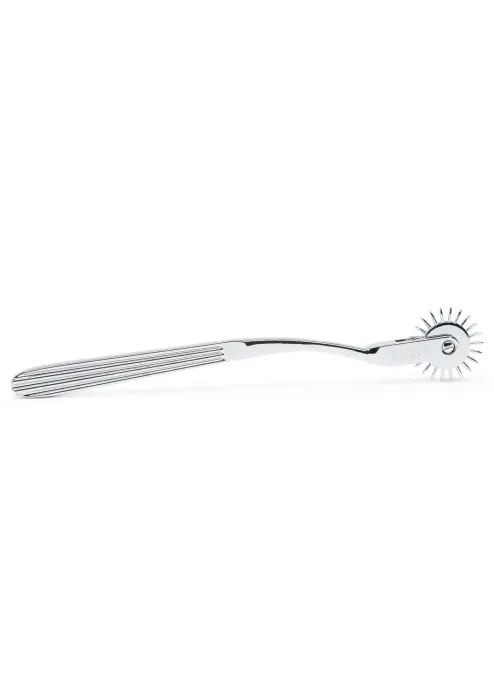 Metal Wartenberg Pinwheel Photo