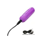 Passion Collection vibratora un krūtsgalu skavu komplekts – violets — Foto 4