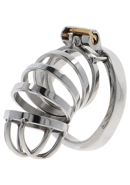 Hidden Desire Chastity Cock Cage – Metal