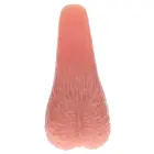 Dickheads Ball Door Stopper – flesh — Photo 3