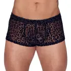 Noir H. kelnės su leopardo raštu – 2XL — Nuotrauka 2