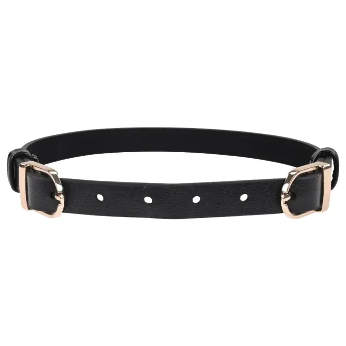 Sportsheets S&M Double Buckle Day Collar – Black / Gold