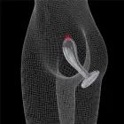 LoveToy Flawless Clear Prostate Plug – простатическая пробка – прозрачный – 15,2 см — Фото 7