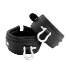 Leather Ankle cuffs with Metal Shackle Photo