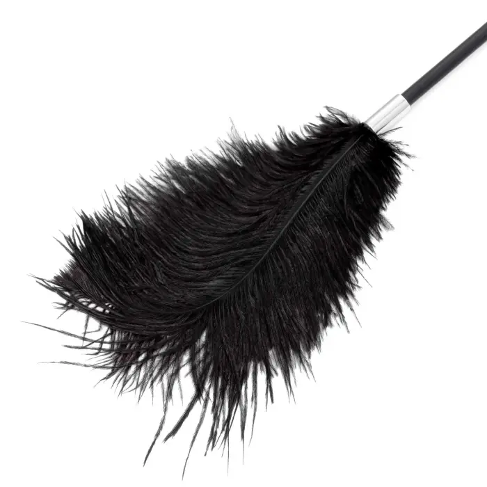 Fetish B-Series Tickler & Whip 1.0 Foto 5