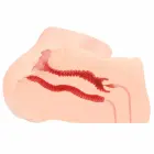 Kokos Hanna Intimate Machine anatomisks TPE masturbators ar dubultu tekstūru 21 cm – miesas krāsa — Foto 9