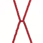 Rebellion Reign Silky Bondage Rope – bondage rope – polyester – red – 10 m — Photo 8