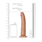 Slim reālistisks dildo ar piesūcekni – 20.5 cm (8″) – Miesas krāsa Foto 5