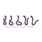 Infinity – dubultais vibrators – violets — Foto 7