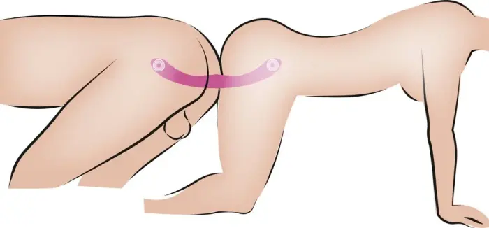 CC двойной вибратор – 31.2 см (12.3″) – розовый Фото num