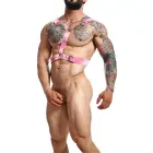 DNGEON Y Cross Chain Harness – Pink – One size — Photo 1