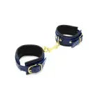 Blue Leather Anklecuffs Photo