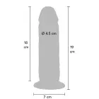 ToyJoy Get Real eesnahaga dildo – 19 cm (7.5″) — Foto 2