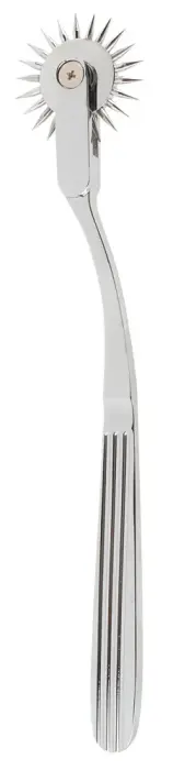 Single Pinwheel Silver Photo