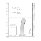 Nerealistiškas dildo su siurbtuku – 17 cm (7″) – Skaidrus — Nuotrauka 4