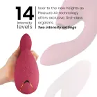 Womanizer Duo 2 Bordeaux oro pulso stimuliatorius — Nuotrauka 5