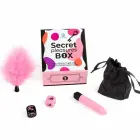 Secret Play Pleasures Box – rinkinys poroms su kauliukais, vibruojančia kulka ir plunksnele – rožinis — Nuotrauka 2