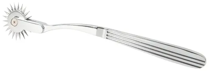 Single Pinwheel Silver Photo