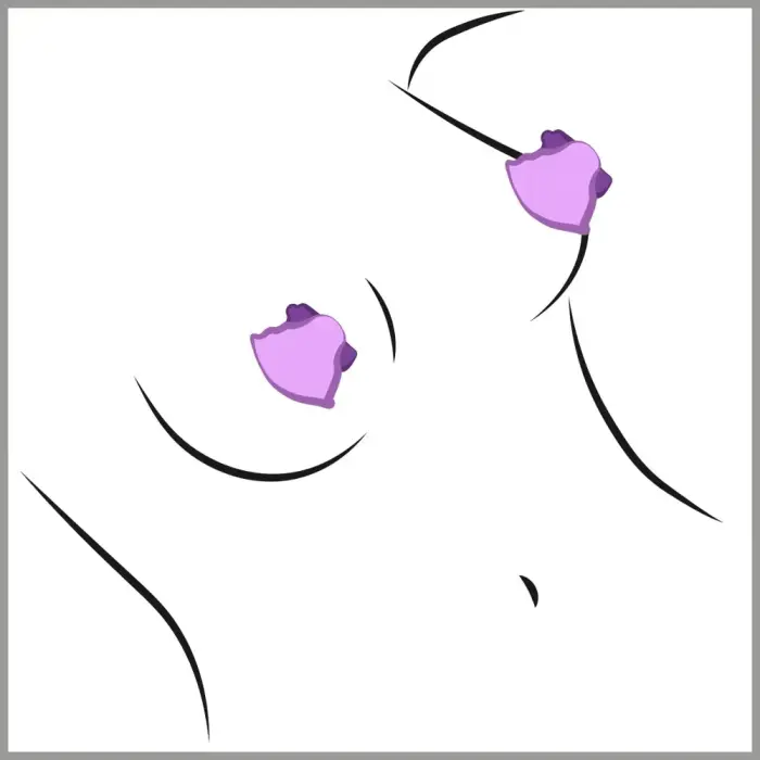 Fetish Fantasy Vibrating Nipple Suckers Photo