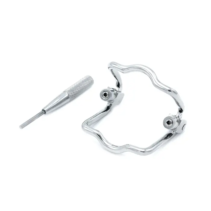 Steel Jaw Lock Bit Gag