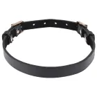 Sportsheets S&M Double Buckle Day Collar – Black / Gold — Photo 3