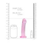 Netikras dildo su siurbtuku – 17 cm (6.7″) – Skaidrus Photo