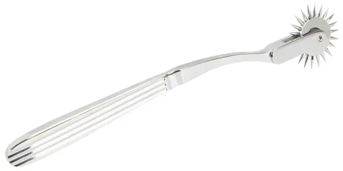 Single Pinwheel Silver Photo