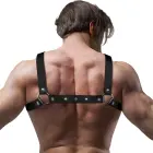 Fetish Submissive Attitude Adjustable Bulldog Chest Harness – Black – One size — Photo 3