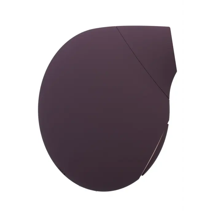 Seductive gaisa pulsa vibrators – violets Foto 5