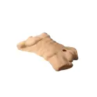 Silex-D Apollo L Torso masturbators – 18 cm (7″) – miesas krāsa — Foto 3