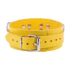 Adjustable Yellow Leather Collar – 5.5 cm — Photo 2