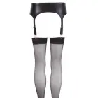Cottelli Lingerie – wetlook suspender belt – black – S — Photo 8