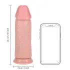 Itin storas tiesus dildo be sėklidžių – 23 cm (9″) – Kūno spalva — Nuotrauka 6