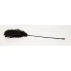 Black Feather Tickler — Photo 2